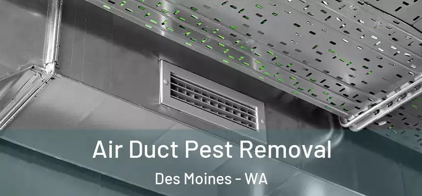  Air Duct Pest Removal Des Moines - WA