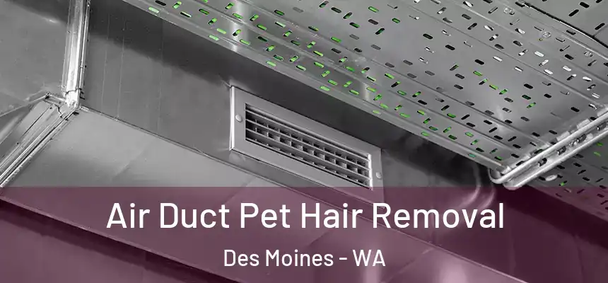 Air Duct Pet Hair Removal Des Moines - WA