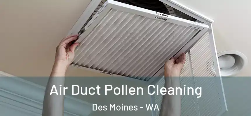  Air Duct Pollen Cleaning Des Moines - WA
