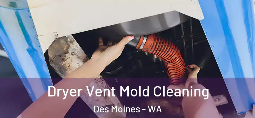  Dryer Vent Mold Cleaning Des Moines - WA