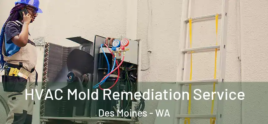  HVAC Mold Remediation Service Des Moines - WA
