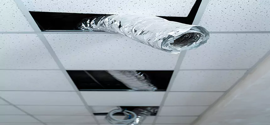 Affordable HVAC Sanitizing After Pest Removal in Des Moines