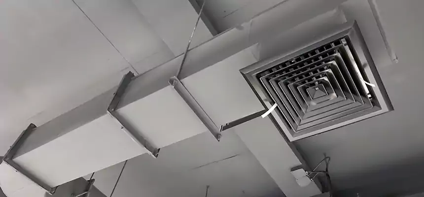 Our Pest Removal From Ducts Services in Des Moines, WA