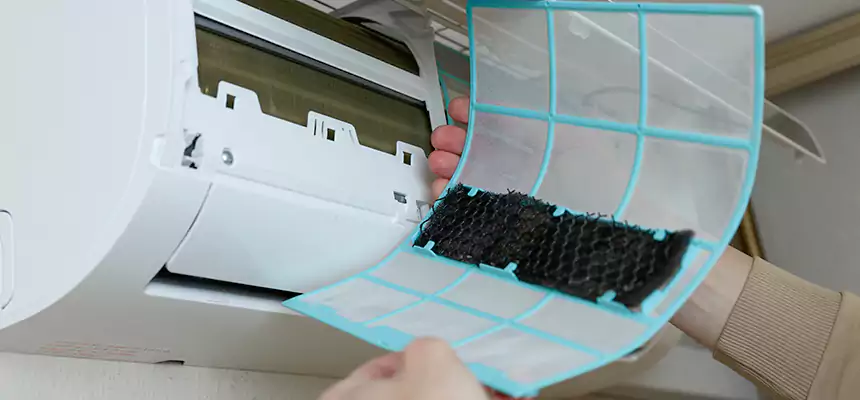 Gentle Ductwork Odor-Control Pet Dander Duct Cleaning in Des Moines, WA