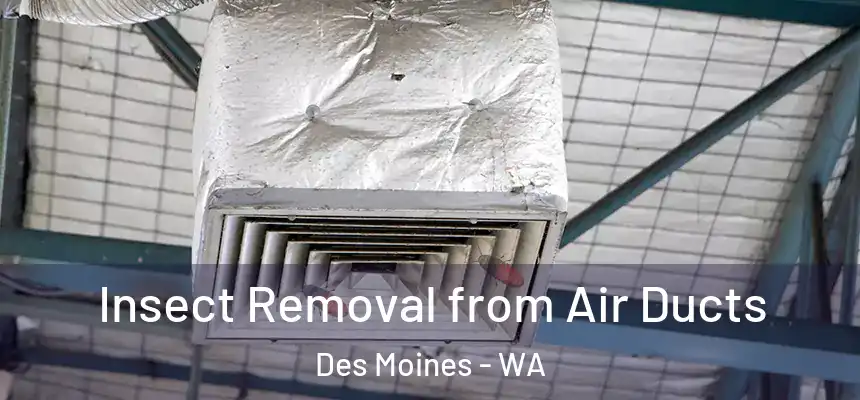  Insect Removal from Air Ducts Des Moines - WA