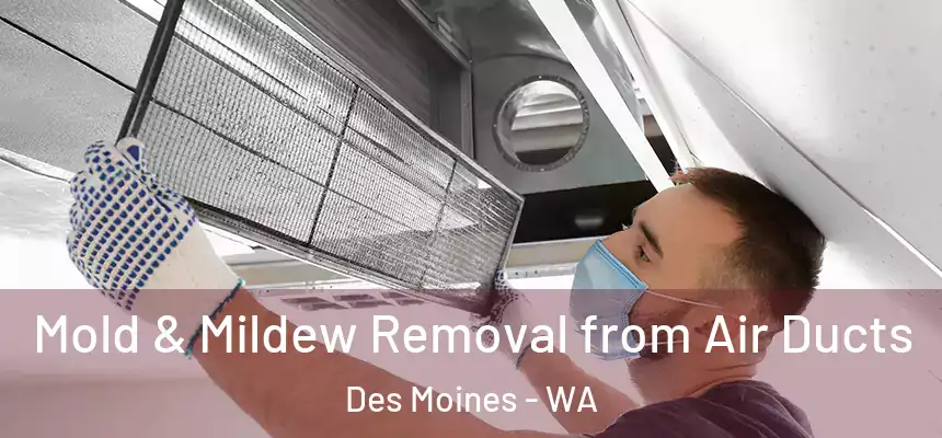  Mold & Mildew Removal from Air Ducts Des Moines - WA