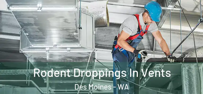  Rodent Droppings In Vents Des Moines - WA