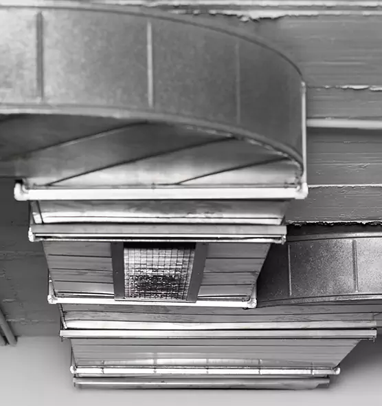 Professional Air Duct Pet Hair Removal in Des Moines, WA