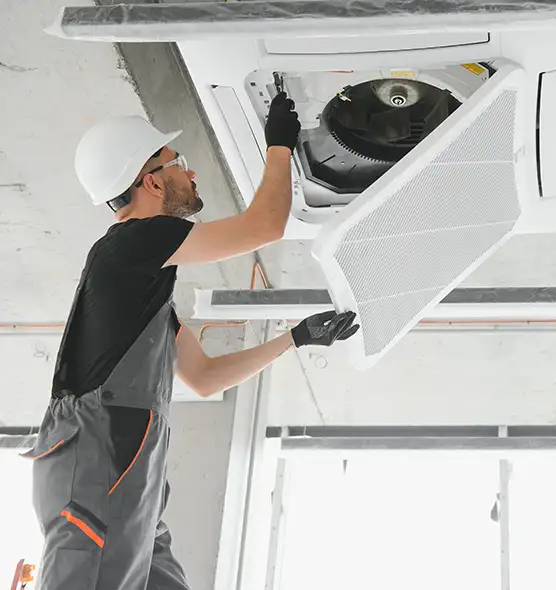 About Air Duct Rodent Removal in Des Moines, WA