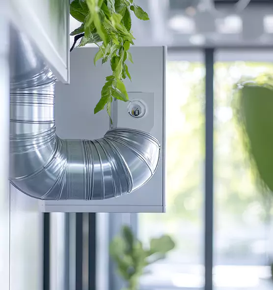 Professional Eco-Safe Dryer Vent Cleaning in Des Moines, WA