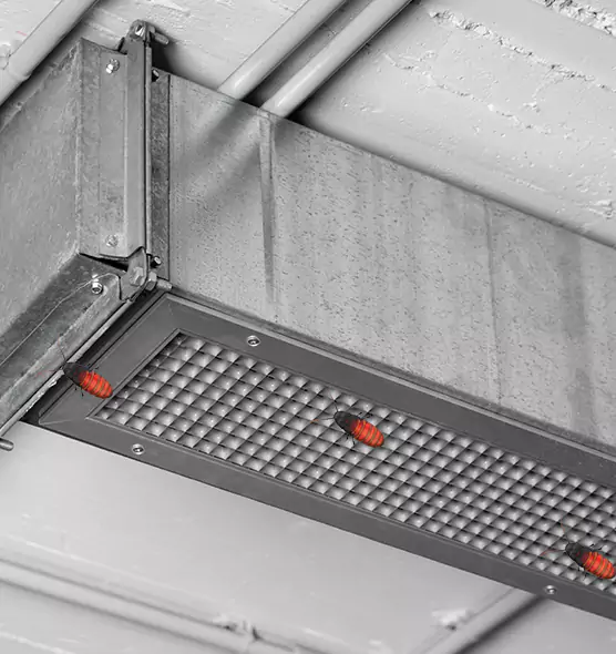 Affordable Insect Removal from Air Ducts in Des Moines, WA