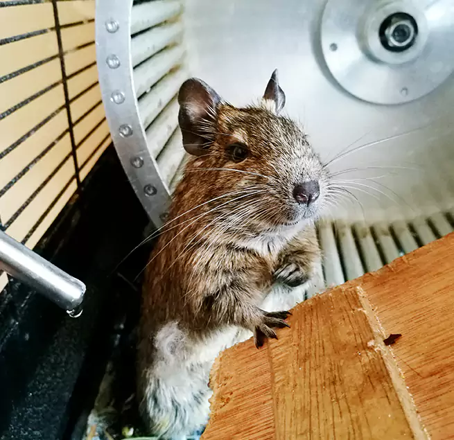 Why Homeowners & Businesses Trust Us Des Moines, WA?