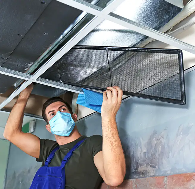 Why Homeowners & Businesses Trust Us in Des Moines, WA?