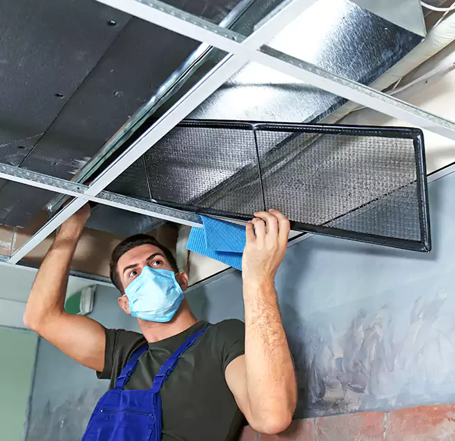 Why Homeowners Businesses Trust Us in Des Moines, WA